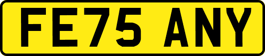 FE75ANY