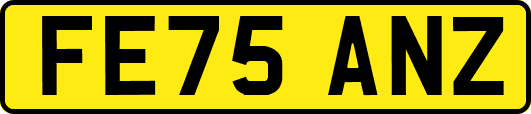FE75ANZ