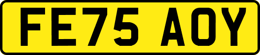 FE75AOY