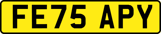 FE75APY