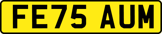FE75AUM