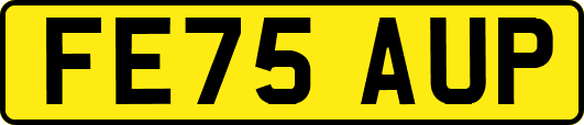 FE75AUP