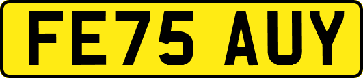 FE75AUY