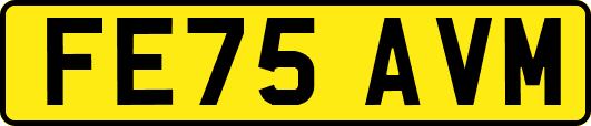 FE75AVM