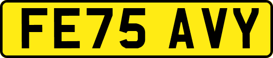 FE75AVY
