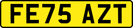 FE75AZT
