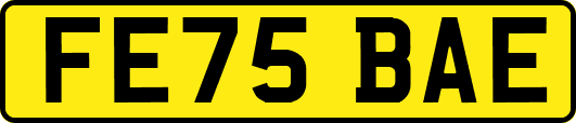 FE75BAE