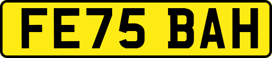 FE75BAH