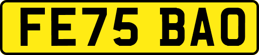 FE75BAO