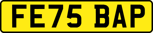 FE75BAP