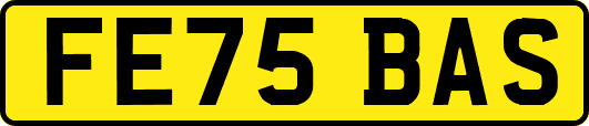 FE75BAS