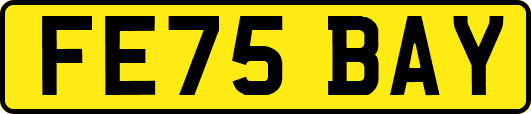 FE75BAY
