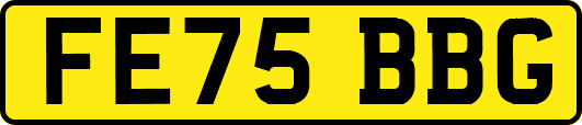 FE75BBG