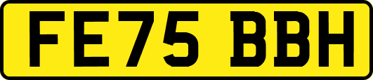 FE75BBH