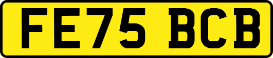 FE75BCB