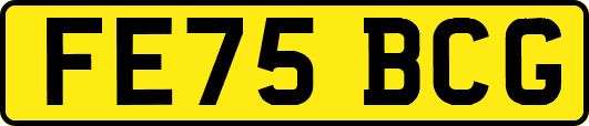 FE75BCG