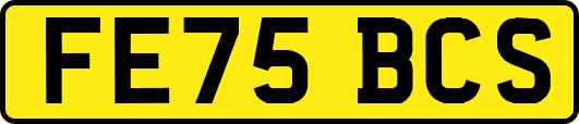 FE75BCS