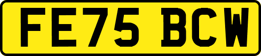 FE75BCW