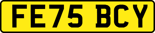 FE75BCY