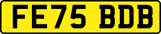 FE75BDB
