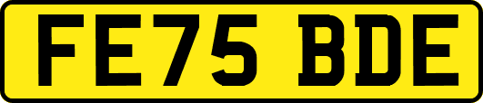 FE75BDE