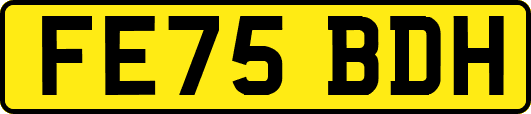 FE75BDH