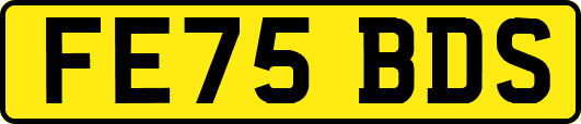 FE75BDS