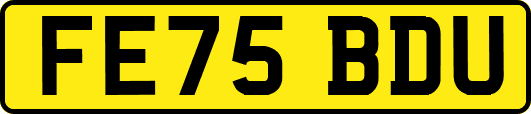 FE75BDU