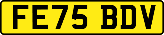 FE75BDV