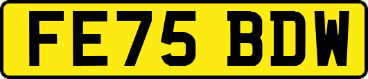 FE75BDW