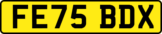 FE75BDX