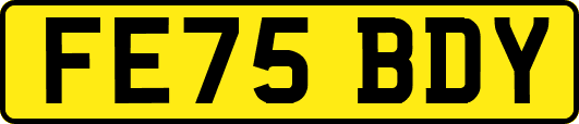 FE75BDY