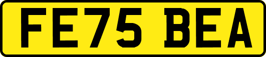 FE75BEA
