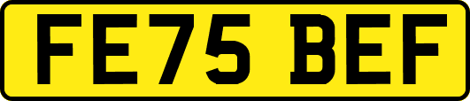 FE75BEF
