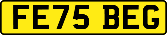 FE75BEG