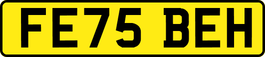 FE75BEH
