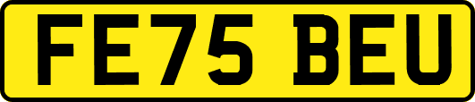 FE75BEU