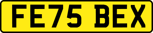 FE75BEX