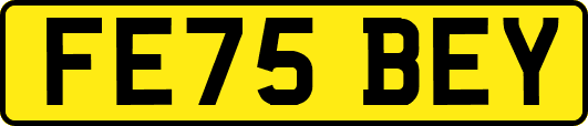 FE75BEY