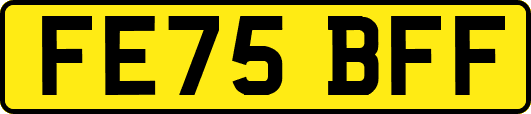 FE75BFF