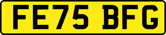 FE75BFG