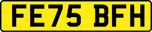FE75BFH