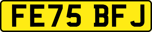 FE75BFJ
