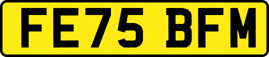 FE75BFM