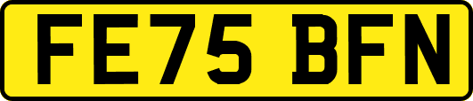 FE75BFN