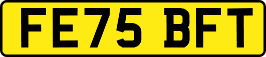 FE75BFT