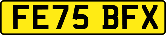 FE75BFX