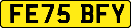 FE75BFY