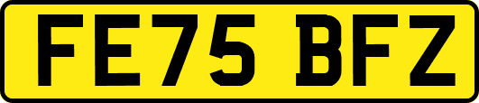 FE75BFZ