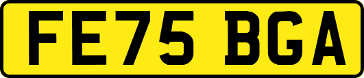 FE75BGA